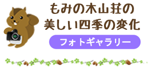 もみの木山荘の美しい四季の変化（フォトギャラリー）